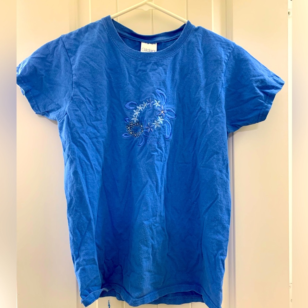 Blue embroidered top